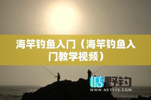 海竿钓鱼入门（海竿钓鱼入门教学视频）