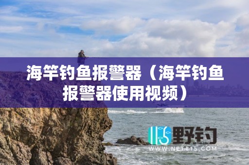 海竿钓鱼报警器（海竿钓鱼报警器使用视频）