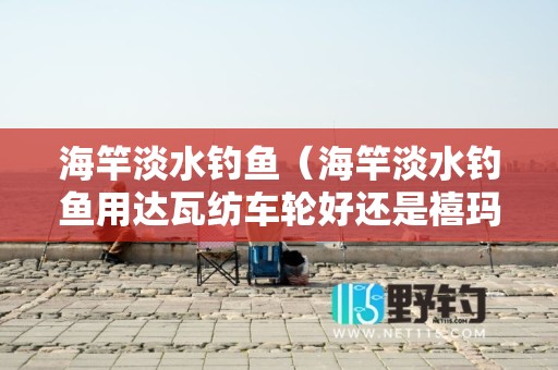 海竿淡水钓鱼（海竿淡水钓鱼用达瓦纺车轮好还是禧玛诺纺车轮好）