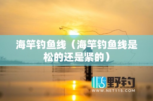 海竿钓鱼线（海竿钓鱼线是松的还是紧的）