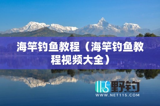 海竿钓鱼教程（海竿钓鱼教程视频大全）