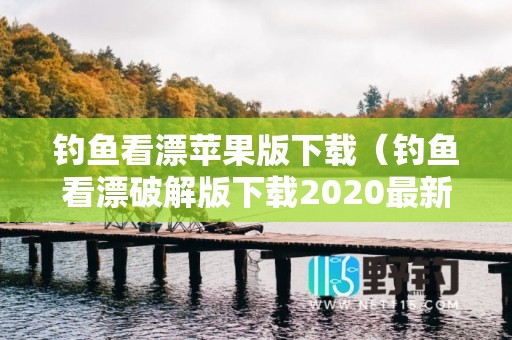 钓鱼看漂苹果版下载（钓鱼看漂破解版下载2020最新版）