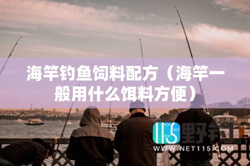 海竿钓鱼饲料配方（海竿一般用什么饵料方便）