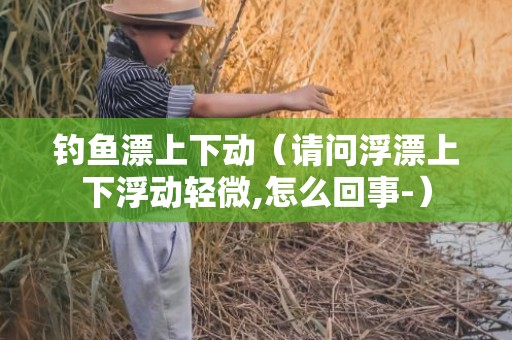 钓鱼漂上下动（请问浮漂上下浮动轻微,怎么回事-）