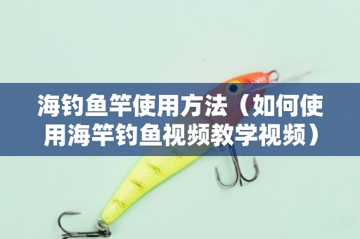 海钓鱼竿使用方法（如何使用海竿钓鱼视频教学视频）