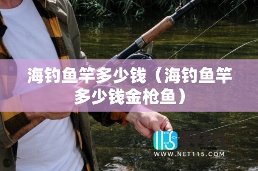 海钓鱼竿多少钱（海钓鱼竿多少钱金枪鱼）