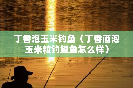 丁香泡玉米钓鱼（丁香酒泡玉米粒钓鲤鱼怎么样）