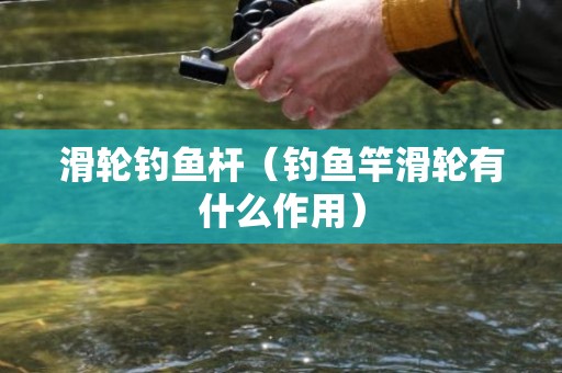 滑轮钓鱼杆（钓鱼竿滑轮有什么作用）