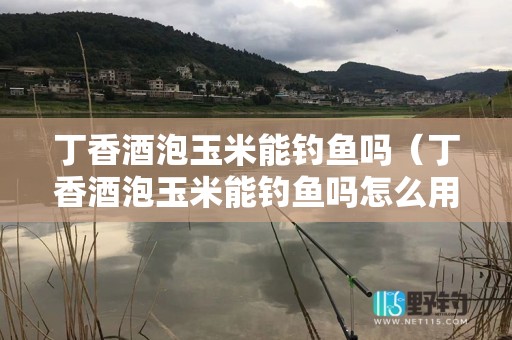 丁香酒泡玉米能钓鱼吗（丁香酒泡玉米能钓鱼吗怎么用）