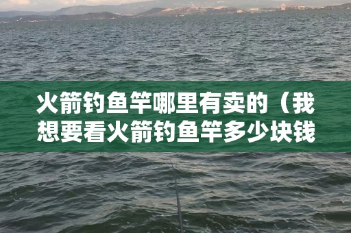 火箭钓鱼竿哪里有卖的（我想要看火箭钓鱼竿多少块钱）