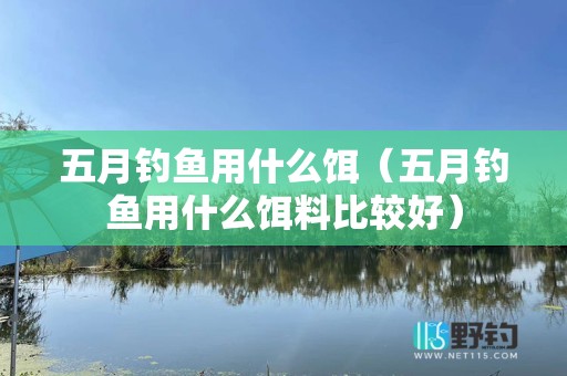 五月钓鱼用什么饵（五月钓鱼用什么饵料比较好）