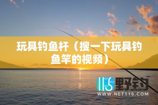 玩具钓鱼杆（搜一下玩具钓鱼竿的视频）