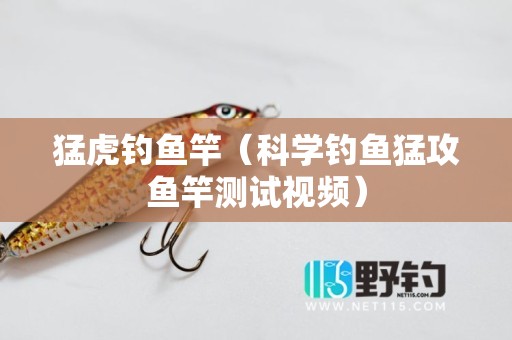 猛虎钓鱼竿（科学钓鱼猛攻鱼竿测试视频）