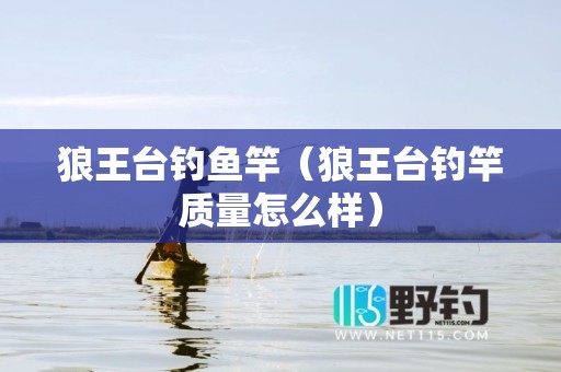 狼王台钓鱼竿（狼王台钓竿质量怎么样）