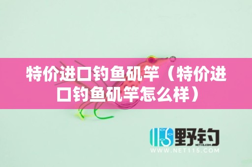 特价进口钓鱼矶竿（特价进口钓鱼矶竿怎么样）