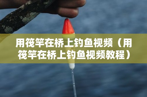 用筏竿在桥上钓鱼视频（用筏竿在桥上钓鱼视频教程）