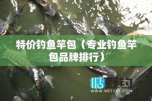 特价钓鱼竿包（专业钓鱼竿包品牌排行）