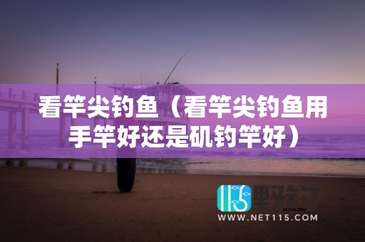 看竿尖钓鱼（看竿尖钓鱼用手竿好还是矶钓竿好）
