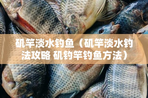 矶竿淡水钓鱼（矶竿淡水钓法攻略 矶钓竿钓鱼方法）