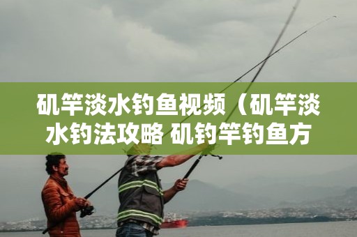 矶竿淡水钓鱼视频（矶竿淡水钓法攻略 矶钓竿钓鱼方法）