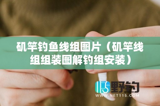 矶竿钓鱼线组图片（矶竿线组组装图解钓组安装）
