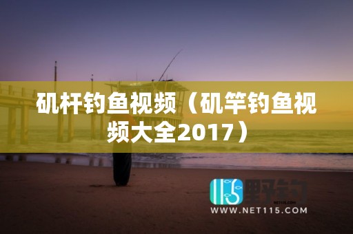 矶杆钓鱼视频（矶竿钓鱼视频大全2017）