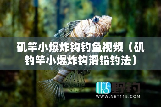 矶竿小爆炸钩钓鱼视频（矶钓竿小爆炸钩滑铅钓法）
