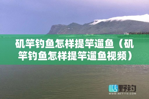 矶竿钓鱼怎样提竿遛鱼（矶竿钓鱼怎样提竿遛鱼视频）