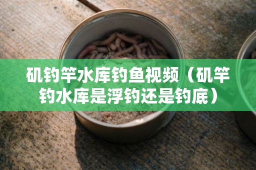矶钓竿水库钓鱼视频（矶竿钓水库是浮钓还是钓底）