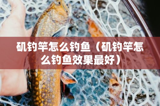 矶钓竿怎么钓鱼（矶钓竿怎么钓鱼效果最好）