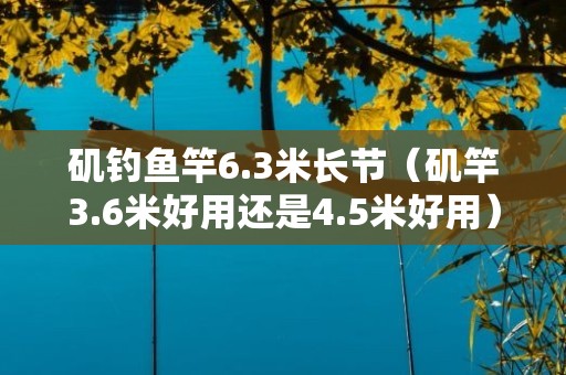 矶钓鱼竿6.3米长节（矶竿3.6米好用还是4.5米好用）