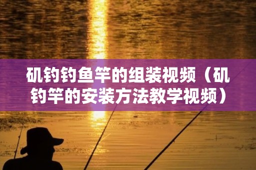 矶钓钓鱼竿的组装视频（矶钓竿的安装方法教学视频）