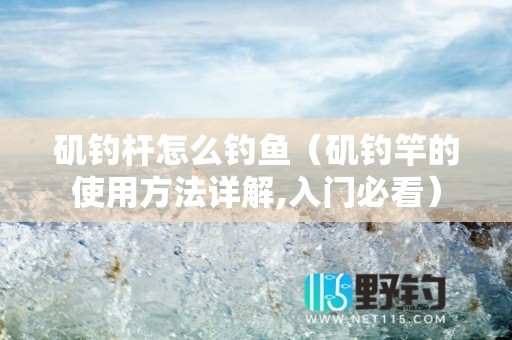 矶钓杆怎么钓鱼（矶钓竿的使用方法详解,入门必看）