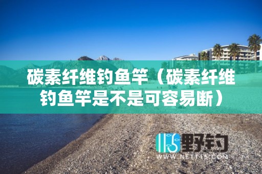 碳素纤维钓鱼竿（碳素纤维钓鱼竿是不是可容易断）