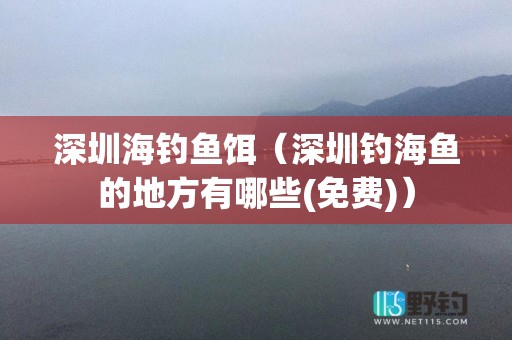 深圳海钓鱼饵（深圳钓海鱼的地方有哪些(免费)）