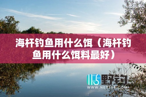 海杆钓鱼用什么饵（海杆钓鱼用什么饵料最好）