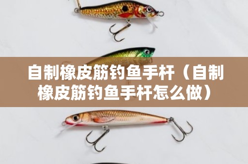 自制橡皮筋钓鱼手杆（自制橡皮筋钓鱼手杆怎么做）