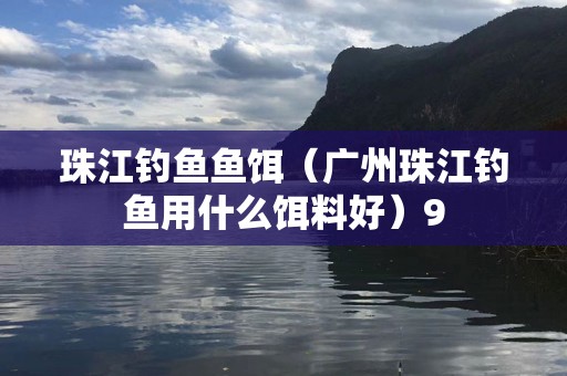 珠江钓鱼鱼饵（广州珠江钓鱼用什么饵料好）9