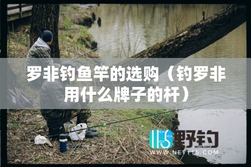 罗非钓鱼竿的选购（钓罗非用什么牌子的杆）