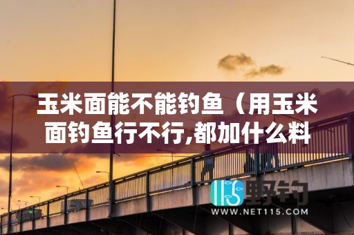 玉米面能不能钓鱼（用玉米面钓鱼行不行,都加什么料）