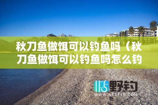 秋刀鱼做饵可以钓鱼吗（秋刀鱼做饵可以钓鱼吗怎么钓）