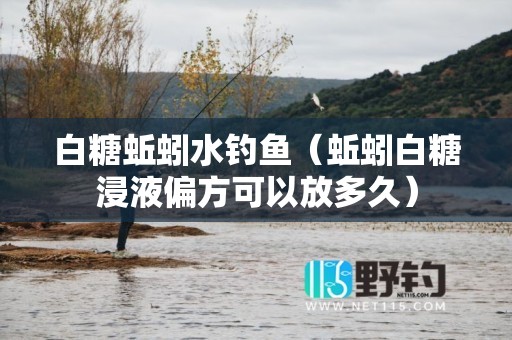 白糖蚯蚓水钓鱼（蚯蚓白糖浸液偏方可以放多久）