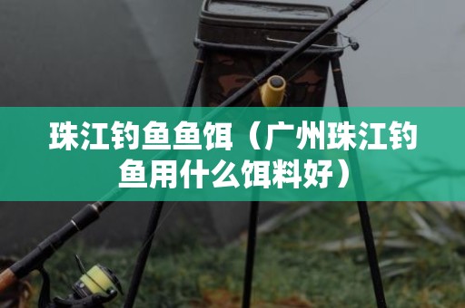 珠江钓鱼鱼饵（广州珠江钓鱼用什么饵料好）