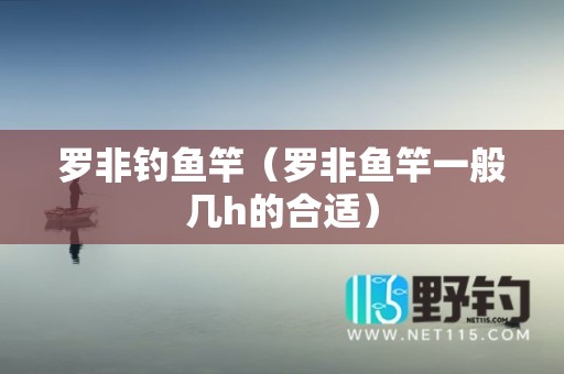 罗非钓鱼竿（罗非鱼竿一般几h的合适）