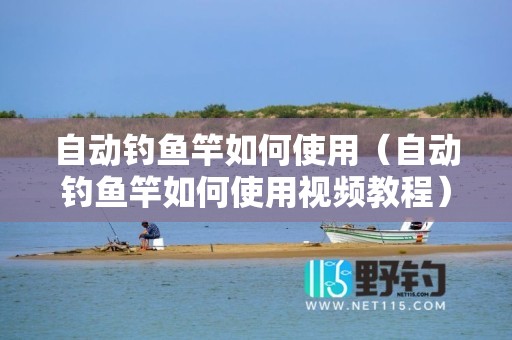 自动钓鱼竿如何使用（自动钓鱼竿如何使用视频教程）