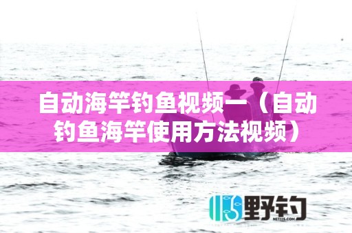 自动海竿钓鱼视频一（自动钓鱼海竿使用方法视频）