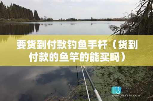 要货到付款钓鱼手杆（货到付款的鱼竿的能买吗）