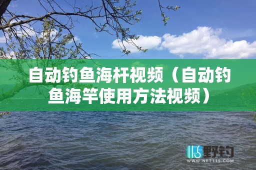 自动钓鱼海杆视频（自动钓鱼海竿使用方法视频）