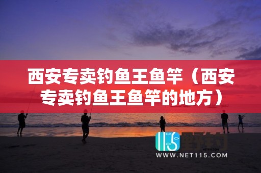 西安专卖钓鱼王鱼竿（西安专卖钓鱼王鱼竿的地方）