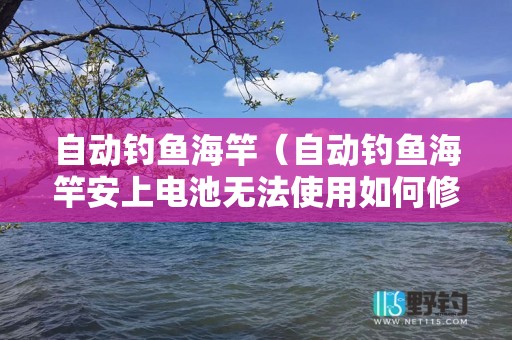 自动钓鱼海竿（自动钓鱼海竿安上电池无法使用如何修复）